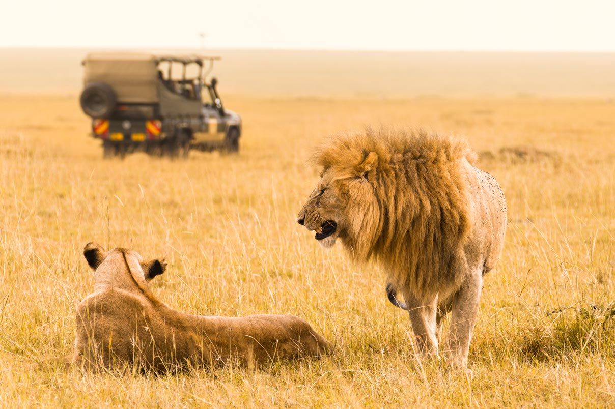 Tanzania Travel Guide: Tanzania Tourism
