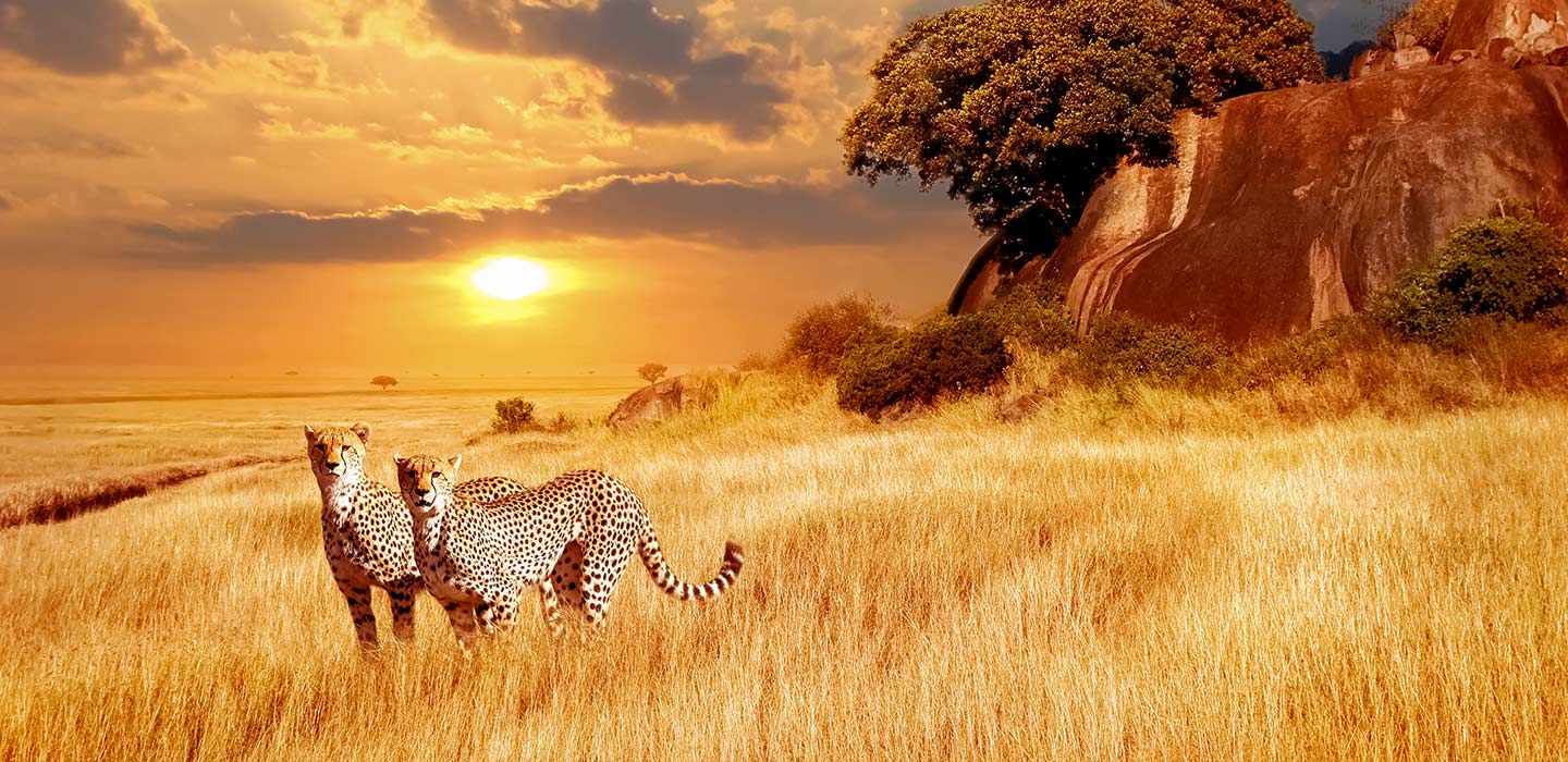 Tanzania 