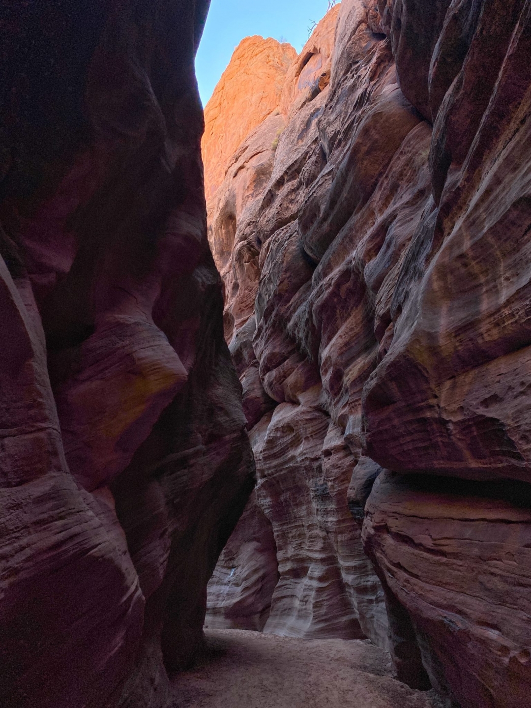 Pourquoi le Canyon Coloré d'Égypte Est le Trésor Méconnu du Sinaï ?