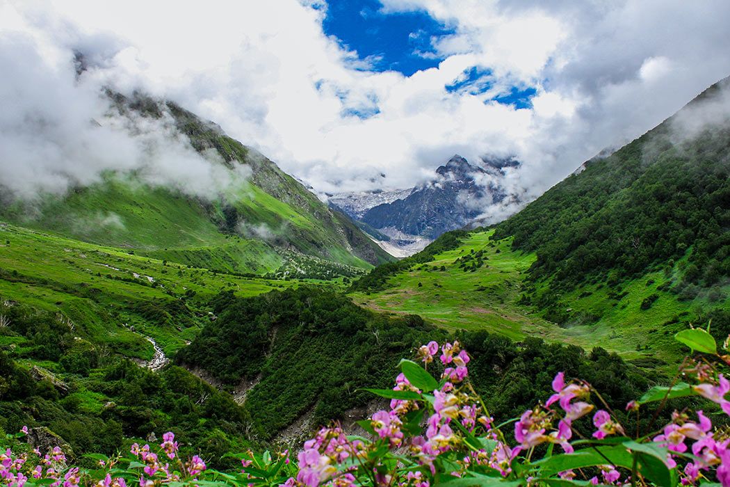 Valley of Flowers National Park