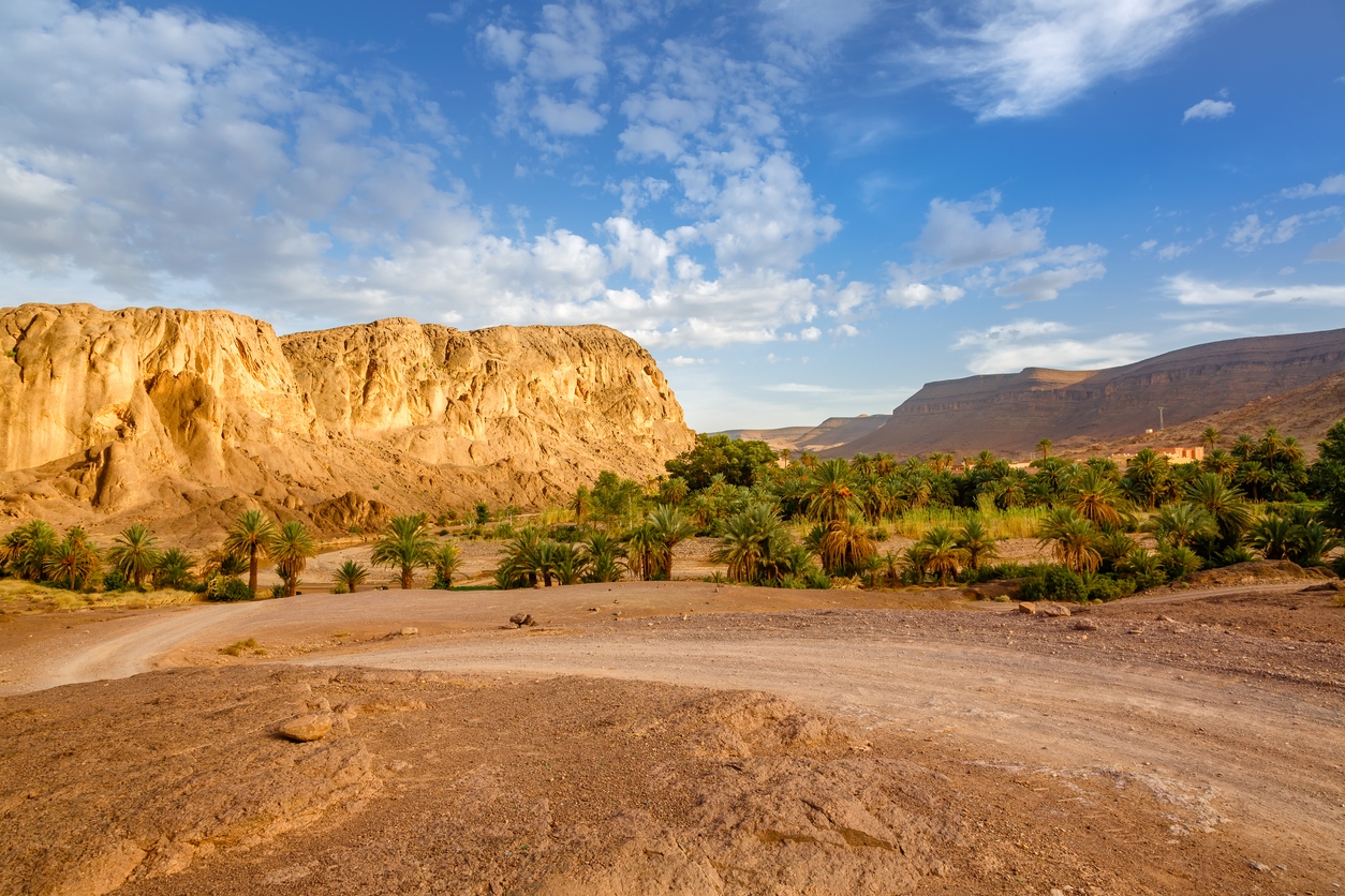 Oásis de Fint: O Tesouro Oculto do Deserto Marroquino