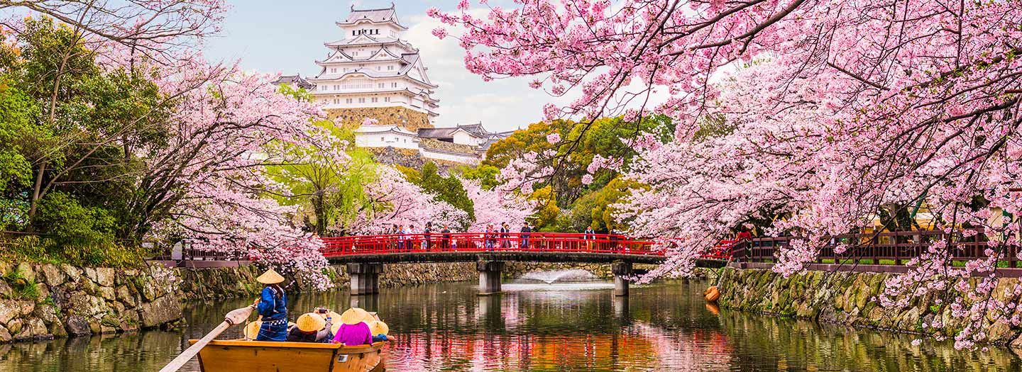 Your Ultimate Guide for Round trips in Japan