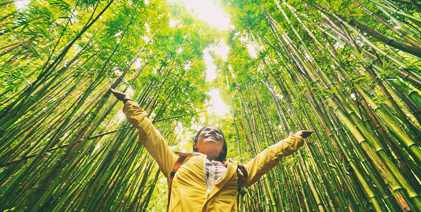 Nachhaltiges Reisen und umweltfreundliche Destinationen