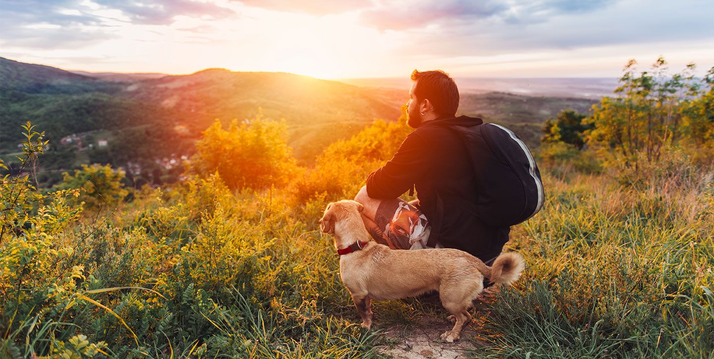 Los 8 mejores destinos para viajar con perros
