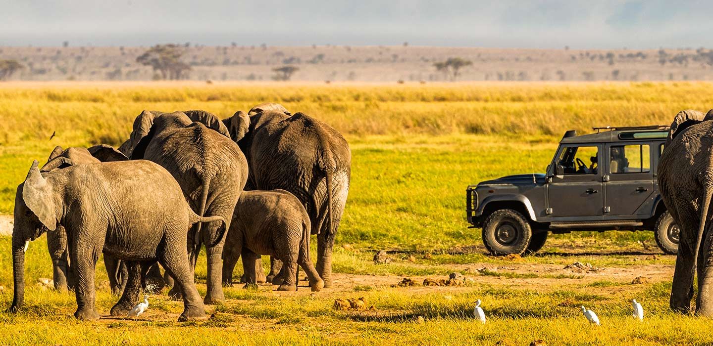 the best tourist attractions in kenya