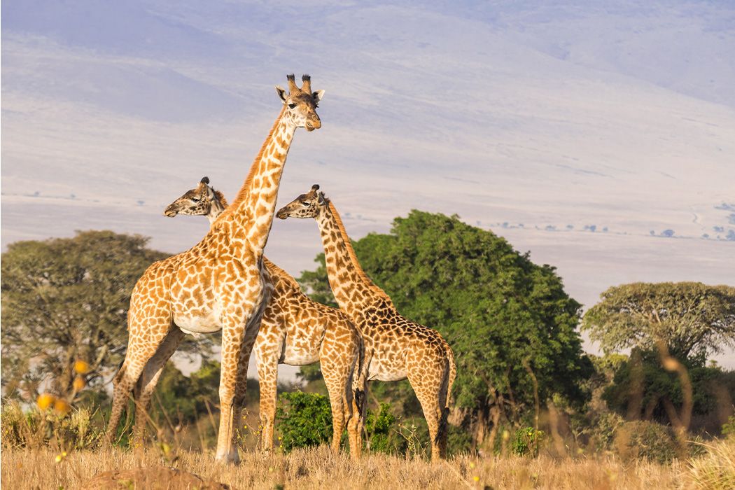 10 Marvelous Nature Reserves Around the World