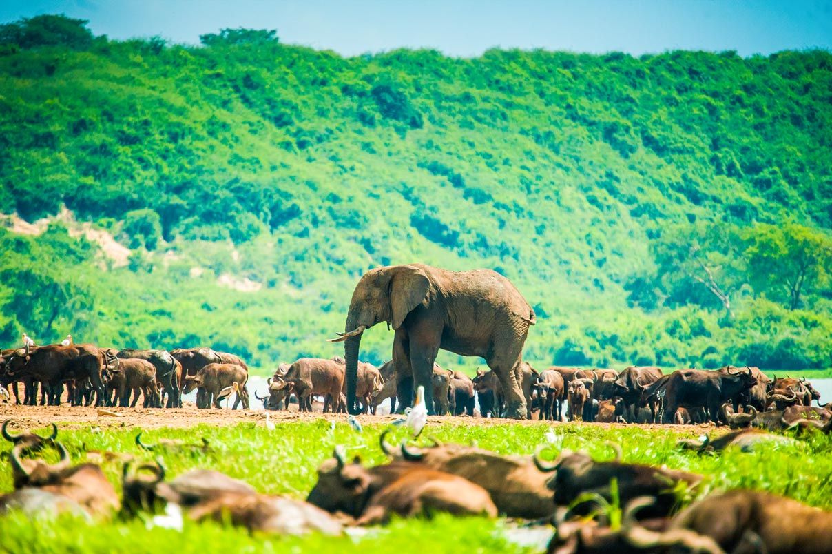 Uganda Travel Guide: Places to Visit in Uganda
